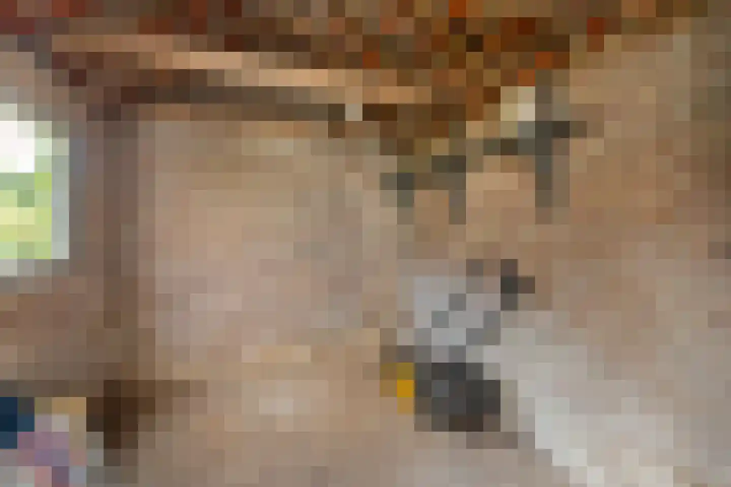 Schoterpad 4 B Bant thumbnail 35