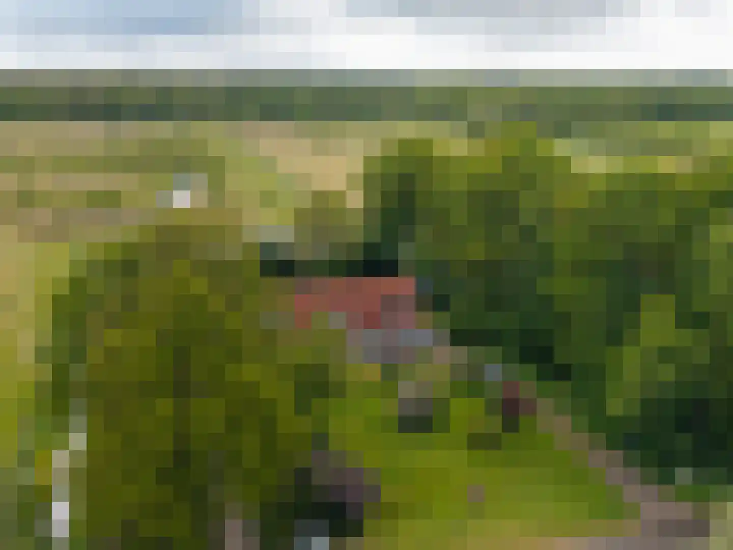 Schoterpad 4 B Bant thumbnail 5