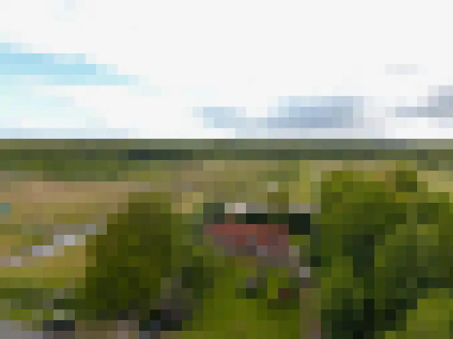 Schoterpad 4 B Bant thumbnail 6
