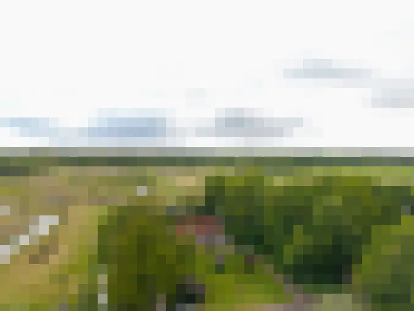 Schoterpad 4 B Bant thumbnail 8