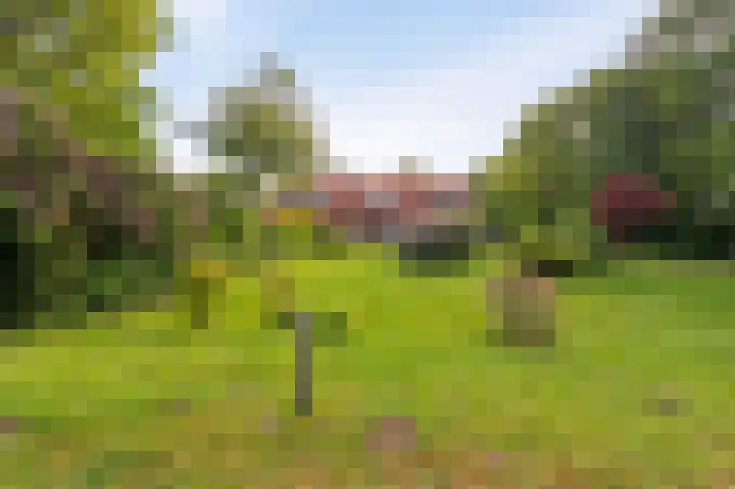 Schoterpad 4 B Bant thumbnail 9