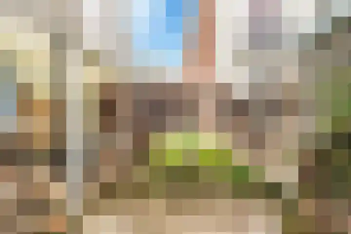 Schotersingel 31 ZW Haarlem thumbnail 27