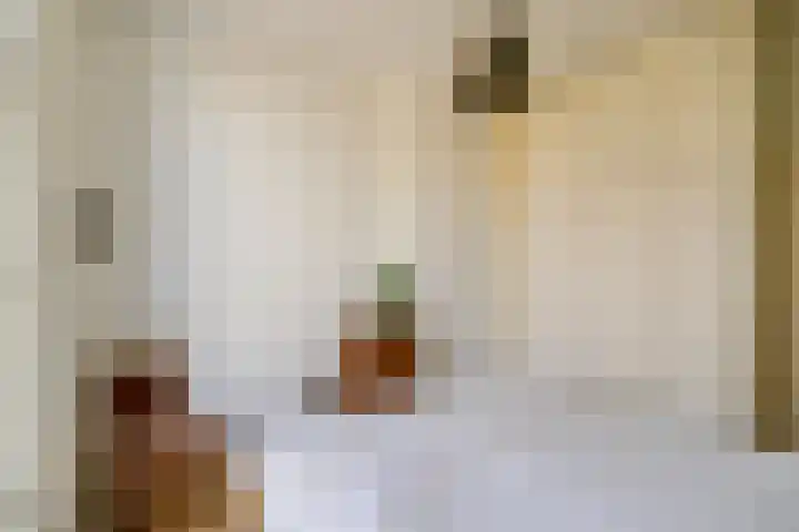 Schotersingel 5 Haarlem thumbnail 30