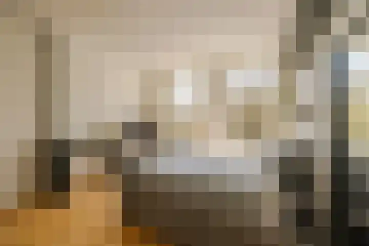 Schotersingel 5 Haarlem thumbnail 35