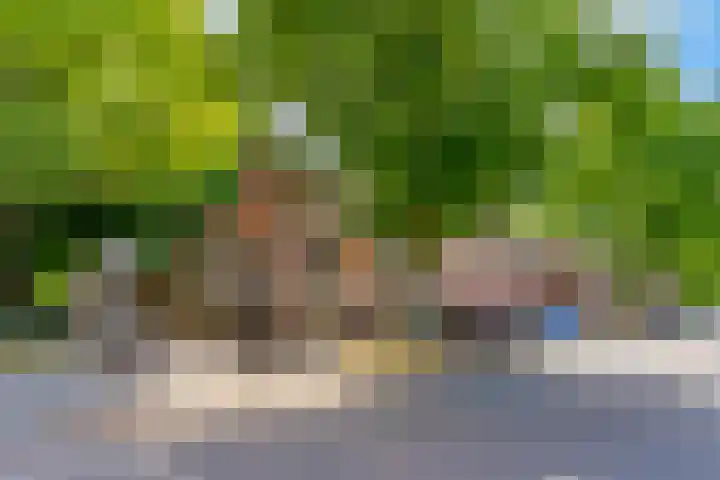 Schotersingel 5 Haarlem thumbnail 67