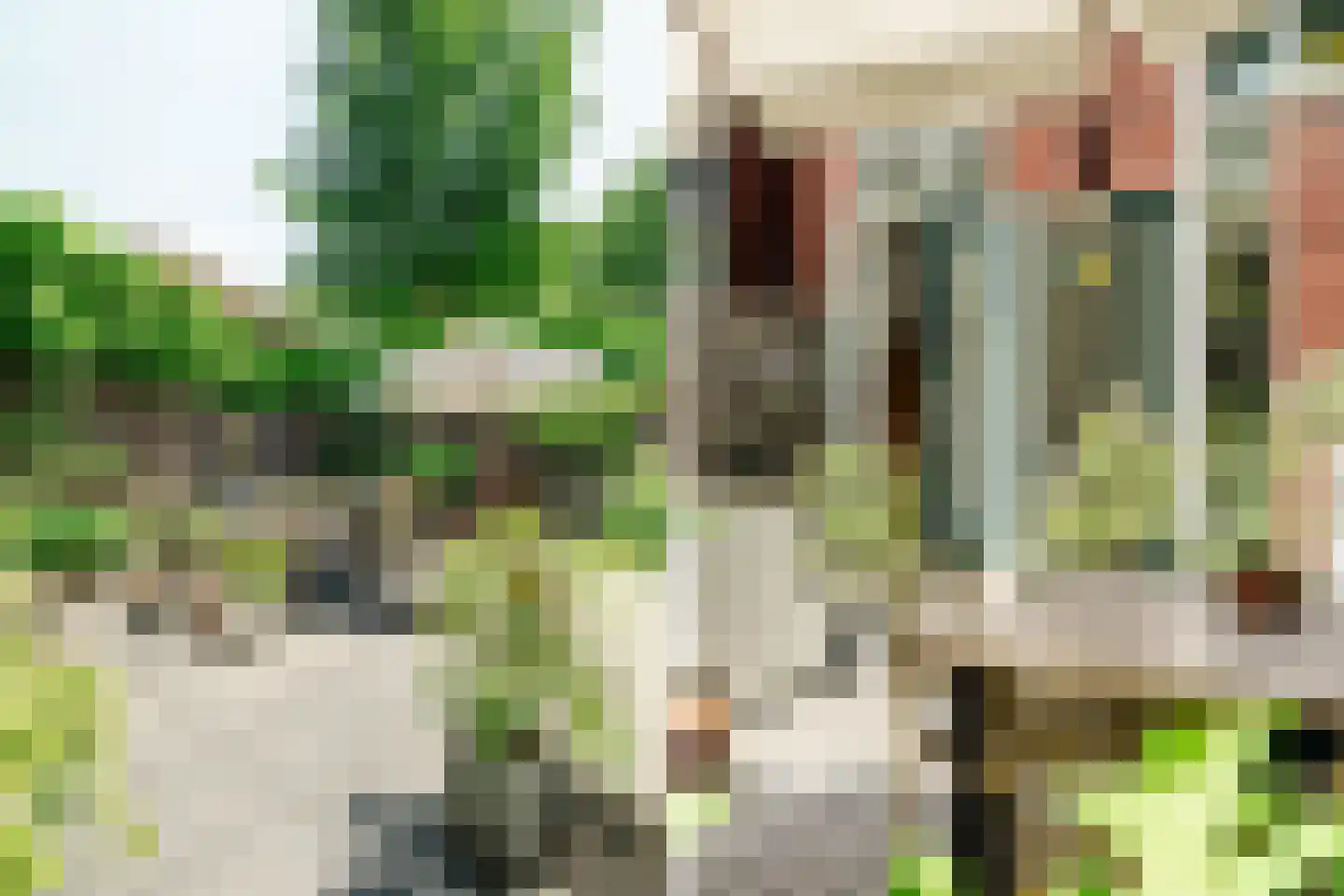 Schotersingel 6 E Haarlem thumbnail 13