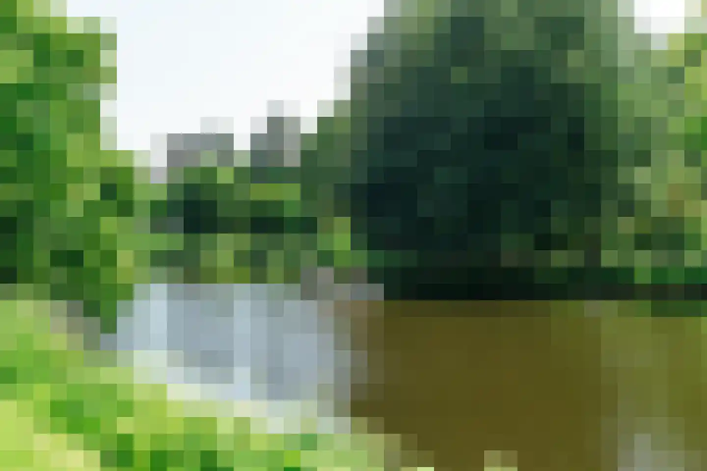Schotersingel 6 E Haarlem thumbnail 28