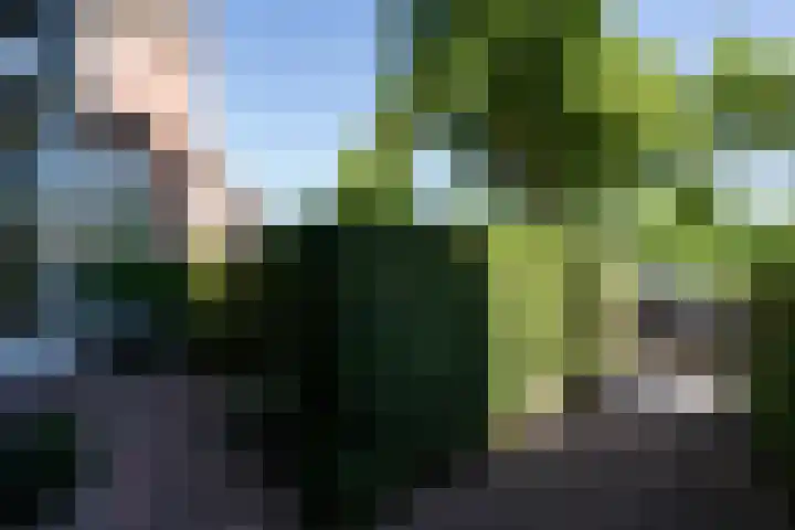Schotersingel 67 E Haarlem thumbnail 39