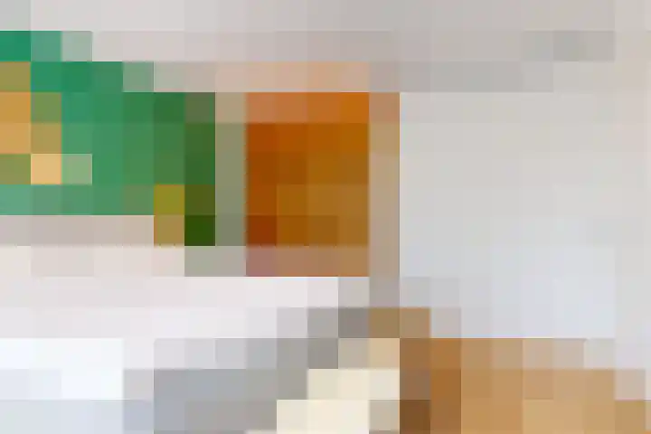 Schoterstraat 20 Zevenhoven thumbnail 17