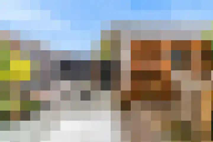 Schoterstraat 20 Zevenhoven thumbnail 31