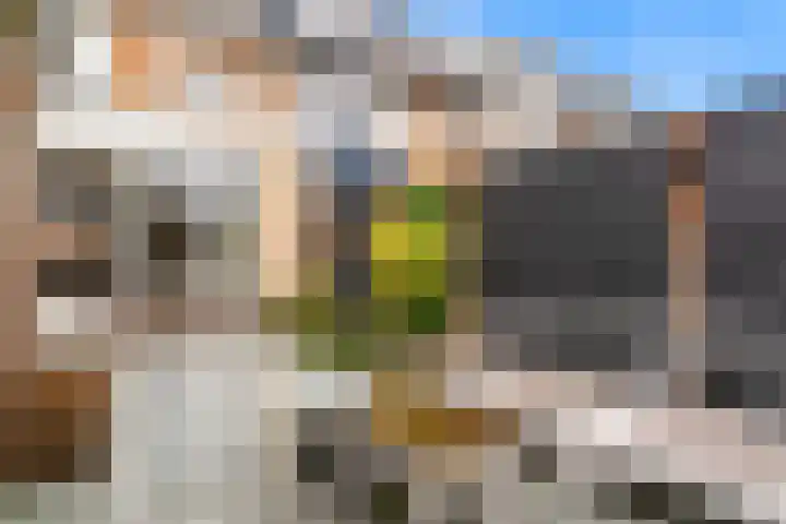Schoterstraat 20 Zevenhoven thumbnail 32