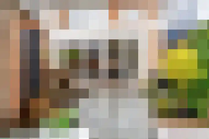 Schoterstraat 20 Zevenhoven thumbnail 33