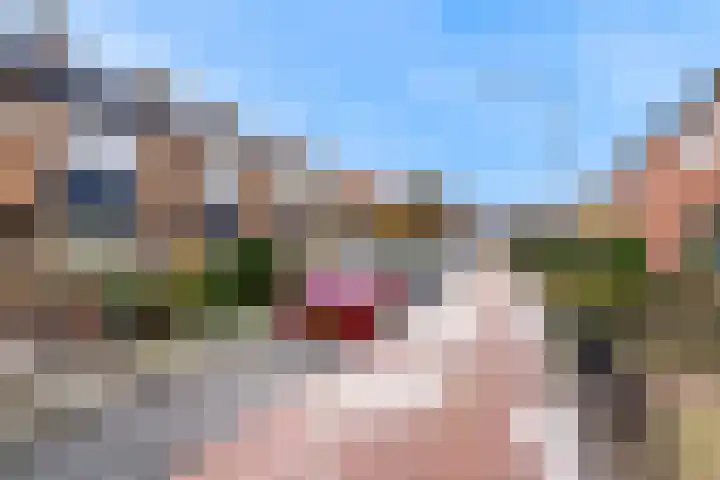 Schoterstraat 20 Zevenhoven thumbnail 36