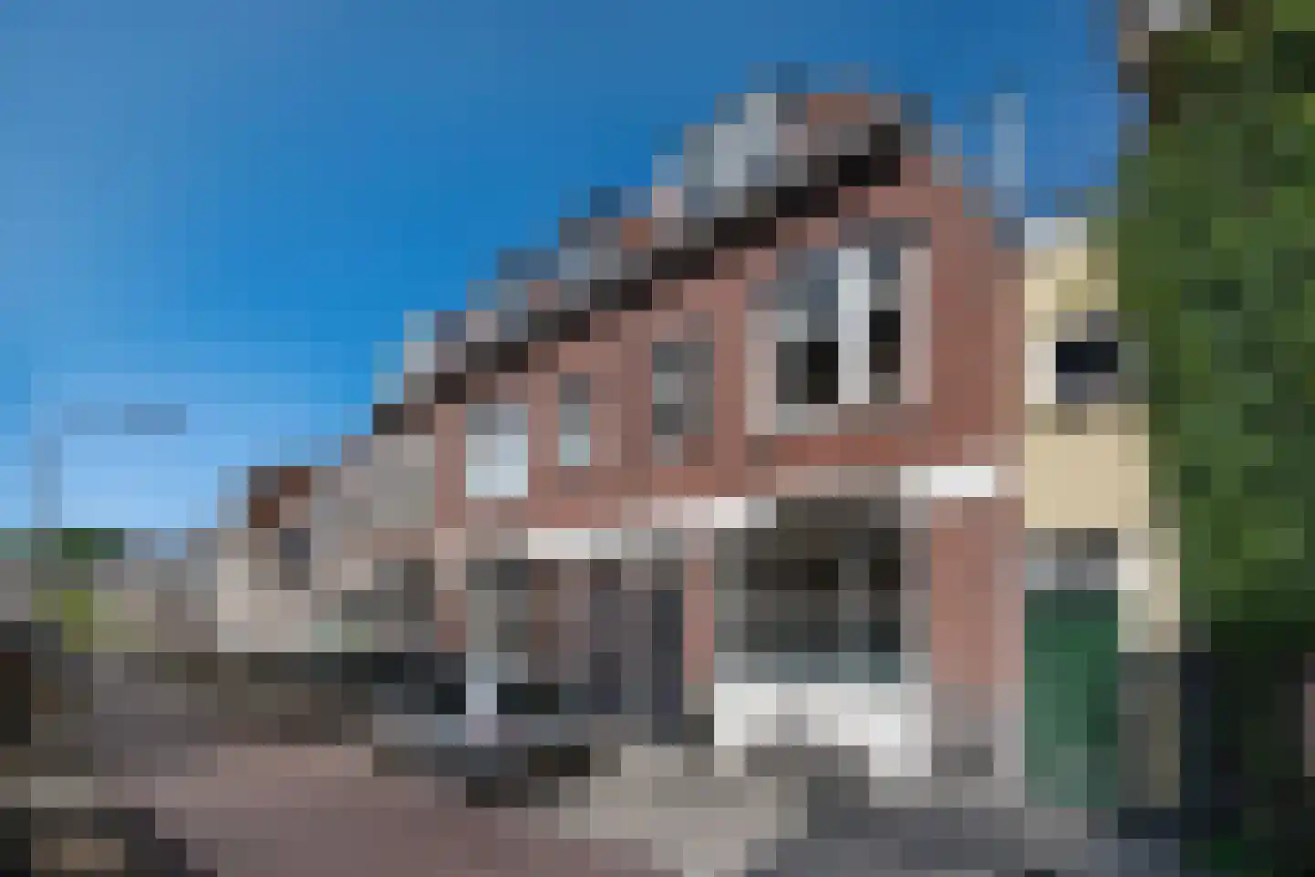 Schoterstraat 35 Haarlem thumbnail 24