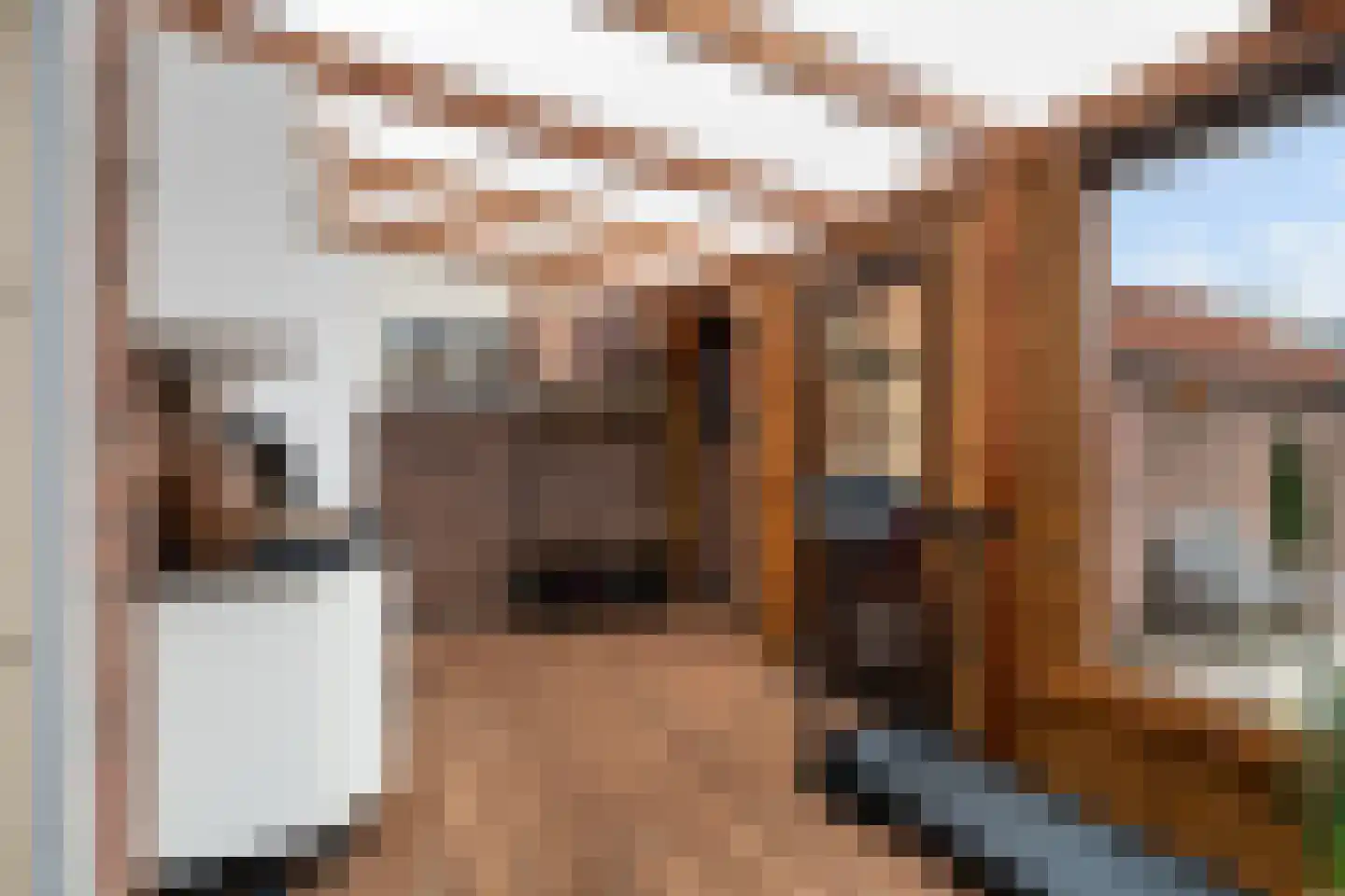 Schoterstraat 6 Zevenhoven thumbnail 19
