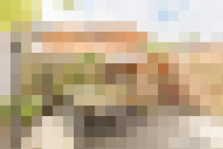 Schoterveenstraat 13 Haarlem thumbnail 30