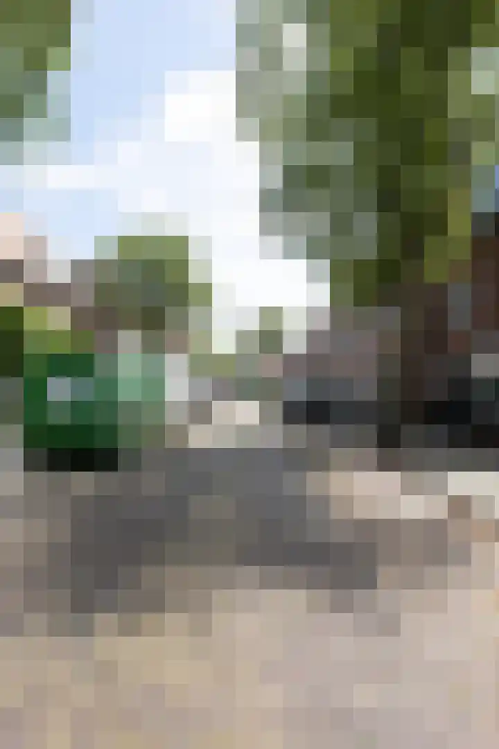 Schoterveenstraat 13 Haarlem thumbnail 5