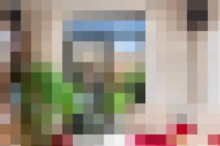 Schoterveenstraat 21 Haarlem thumbnail 9