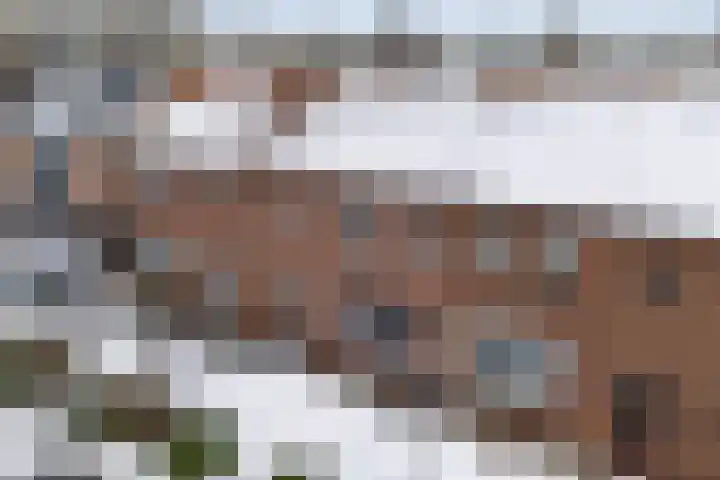 Schoterveld 30 Nieuwveen thumbnail 10