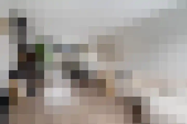 Schoterveld 30 Nieuwveen thumbnail 22