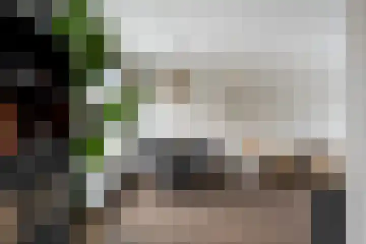 Schoterveld 30 Nieuwveen thumbnail 31