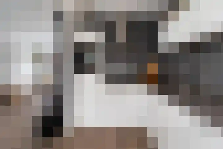 Schoterveld 30 Nieuwveen thumbnail 34