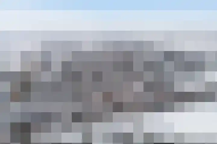 Schoterveld 30 Nieuwveen thumbnail 4