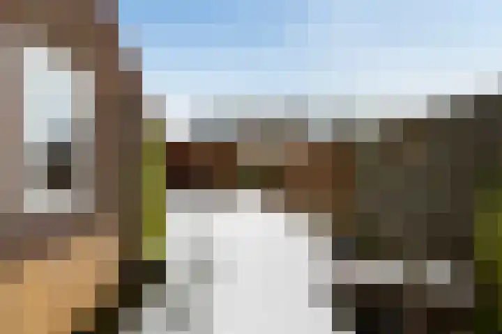 Schoterveld 30 Nieuwveen thumbnail 41