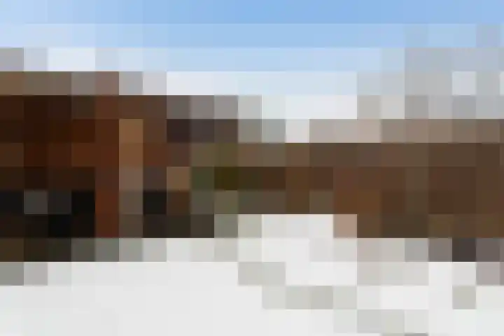 Schoterveld 30 Nieuwveen thumbnail 43