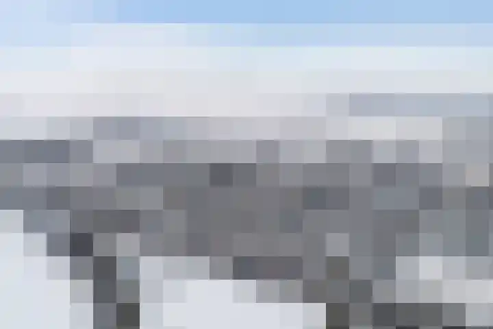 Schoterveld 30 Nieuwveen thumbnail 5