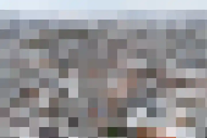 Schoterveld 30 Nieuwveen thumbnail 6