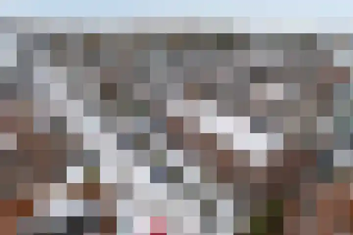 Schoterveld 30 Nieuwveen thumbnail 8
