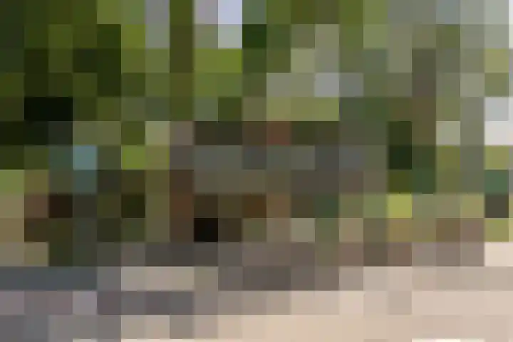 Schoterweg 1 C Haarlem thumbnail 26