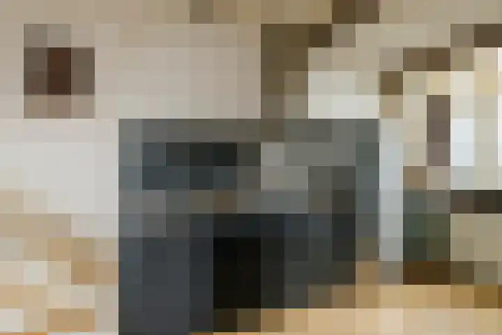Schoterweg 1 C Haarlem thumbnail 9