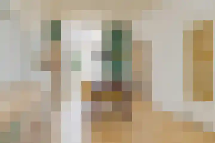 Schoterweg 102 ZW Haarlem thumbnail 22