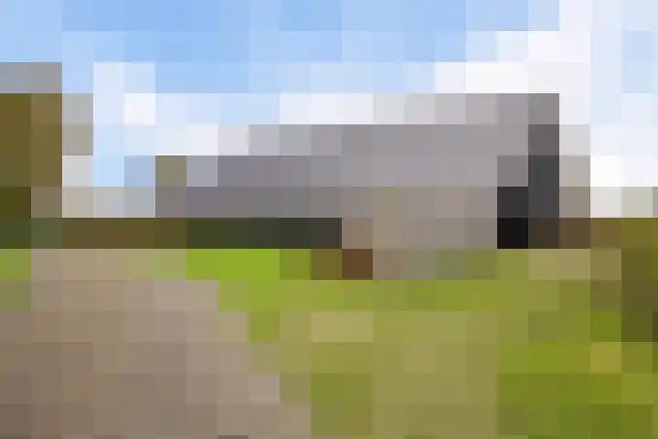 Schoterweg 17 Rotstergaast thumbnail 10