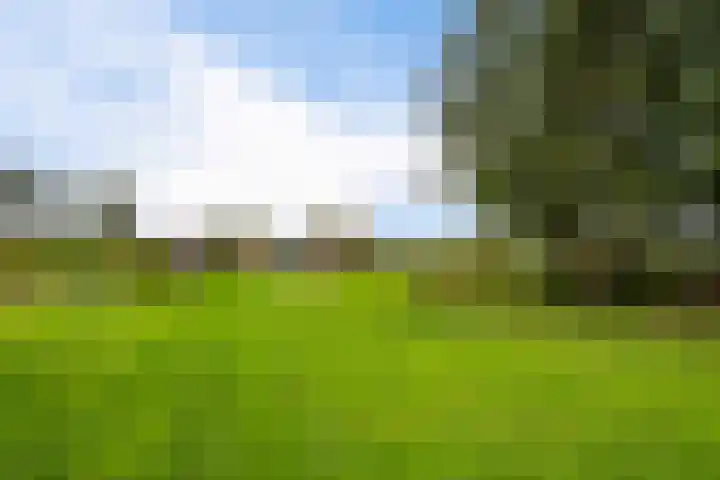 Schoterweg 17 Rotstergaast thumbnail 11