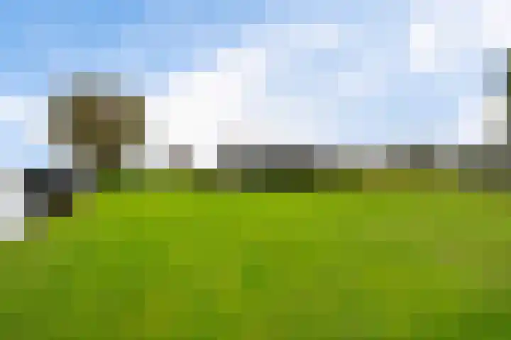 Schoterweg 17 Rotstergaast thumbnail 12