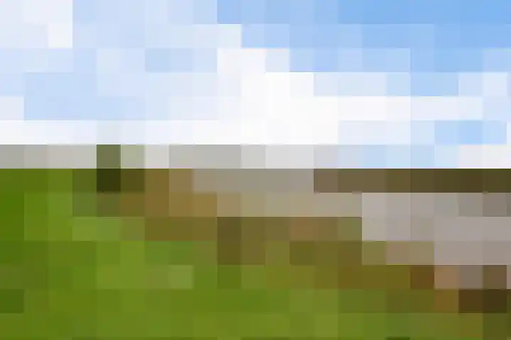 Schoterweg 17 Rotstergaast thumbnail 13