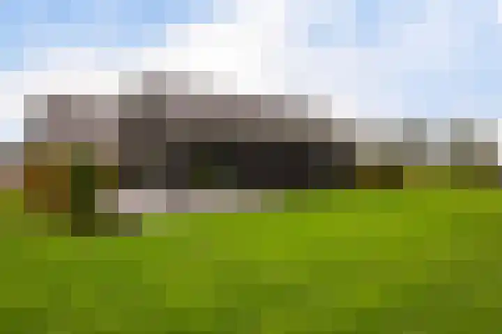 Schoterweg 17 Rotstergaast thumbnail 14