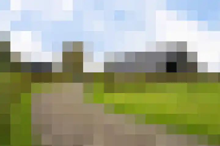 Schoterweg 17 Rotstergaast thumbnail 15