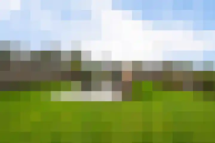 Schoterweg 17 Rotstergaast thumbnail 16