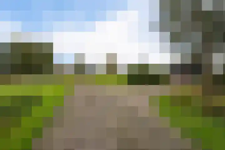Schoterweg 17 Rotstergaast thumbnail 17