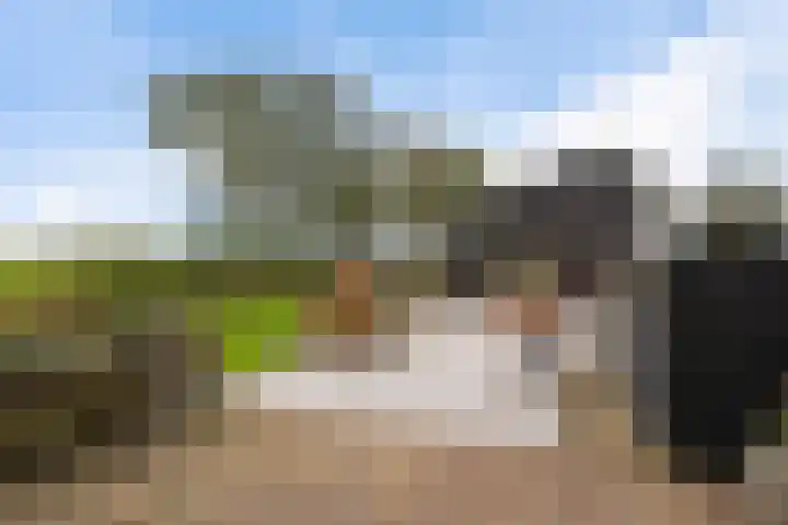Schoterweg 17 Rotstergaast thumbnail 19