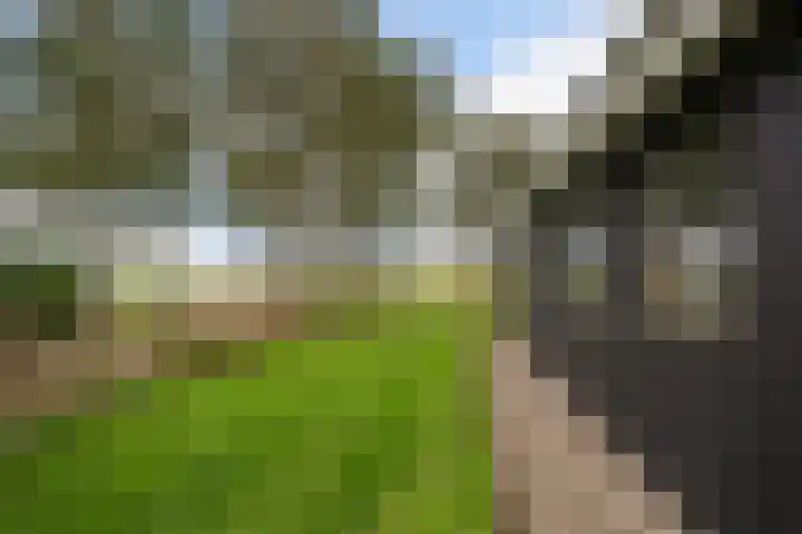Schoterweg 17 Rotstergaast thumbnail 20