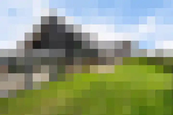 Schoterweg 17 Rotstergaast thumbnail 21