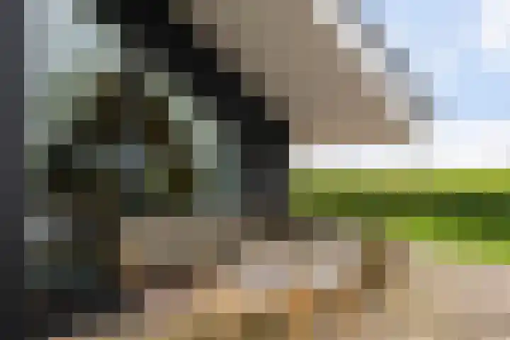 Schoterweg 17 Rotstergaast thumbnail 22