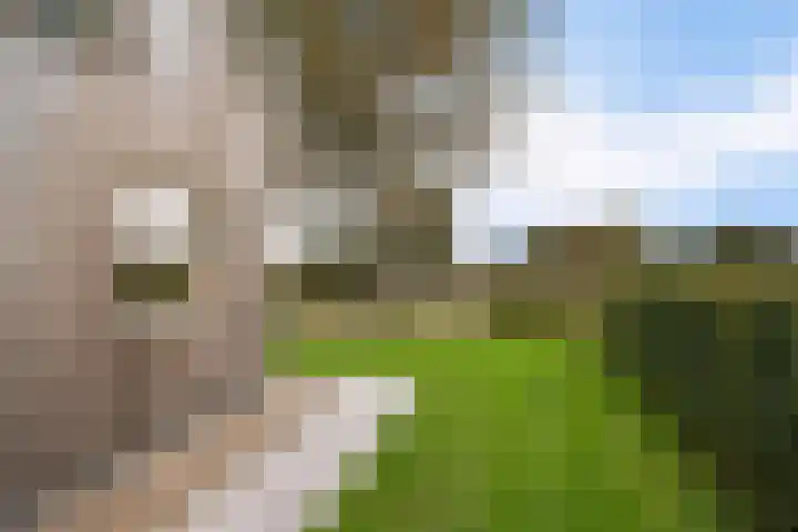 Schoterweg 17 Rotstergaast thumbnail 24