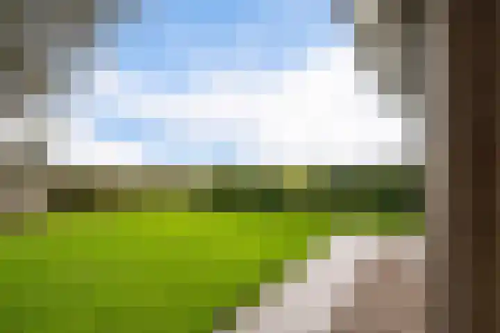 Schoterweg 17 Rotstergaast thumbnail 26
