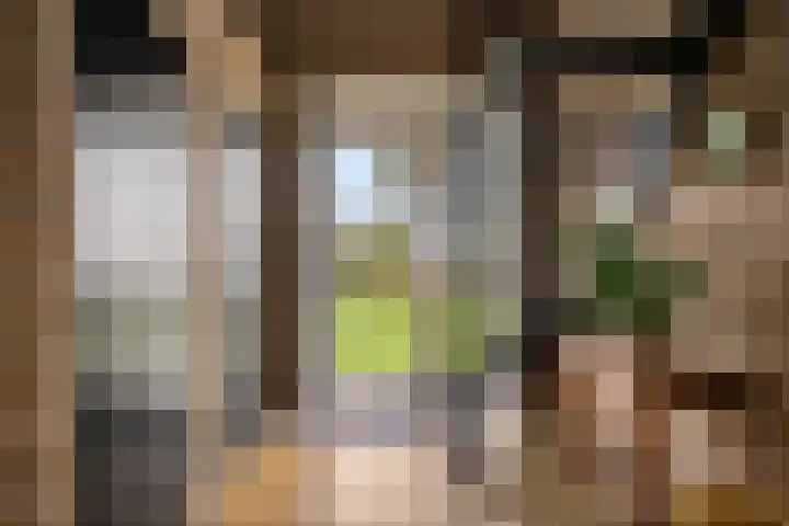 Schoterweg 17 Rotstergaast thumbnail 27